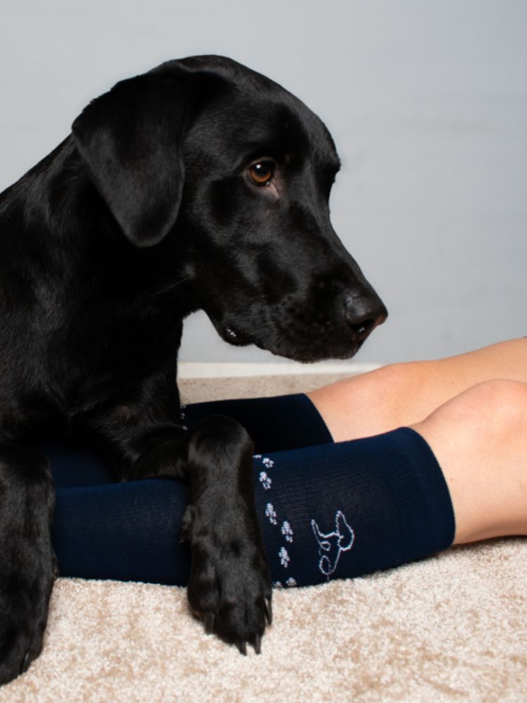 COMPRESSION STOCKINGS, WOOL AND COTTON, NAVY BLUE WITH DOG AND PAWS